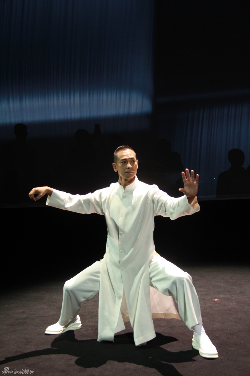 赵文卓演绎太极 支持   键翻阅图片 列表查看 大图 全屏观看 2015.10.