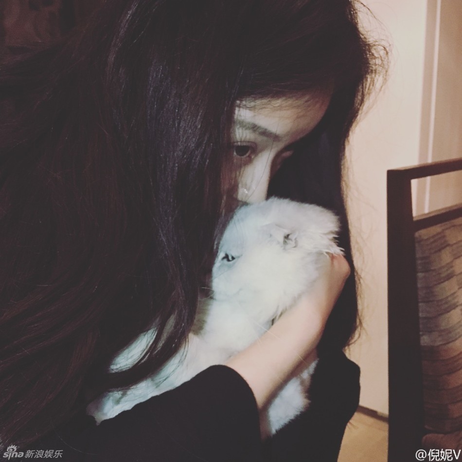 新浪娱乐讯 11月2日,倪妮微博晒出一组与猫互动的照片,照片中倪妮亲吻