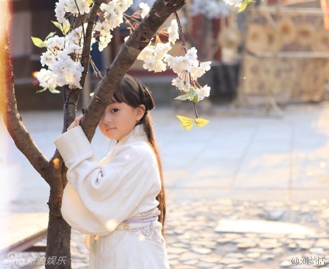 新浪娱乐讯 《芈月传》刚开播,小芈月瞪着一双天真的大眼睛,肉肉的