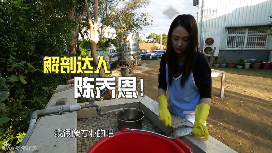 孝子陈乔恩杀鸡刨鱼包贝尔穿旗袍