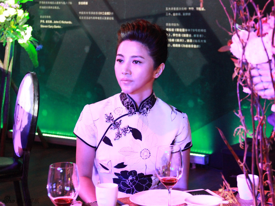 组图: 颜丙燕出席公益晚宴 一袭旗袍端庄优雅_高清图集_新浪网