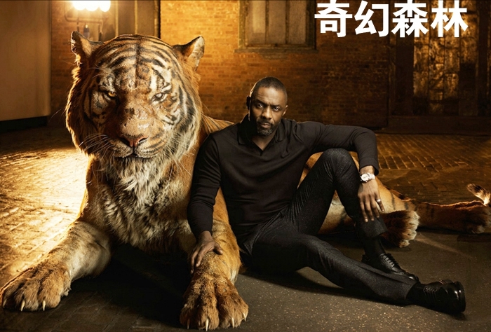 组图:《奇幻森林》老虎是真男神!狂拽帅叔上线_高清图集_新浪网