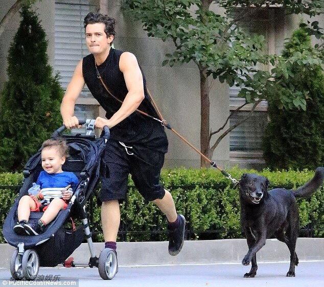 组图:腰缠万狗!哈利波特花样遛狗称霸好莱坞_高清图集_新浪网