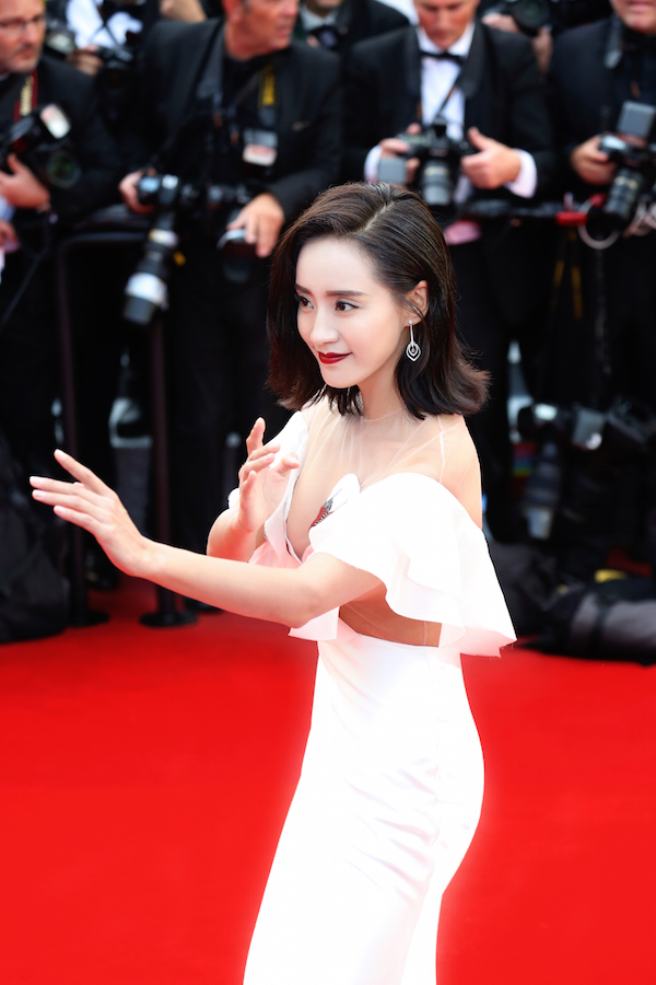 组图:王智亮相戛纳电影节开幕 天鹅装搭咏春_高清图集_新浪网