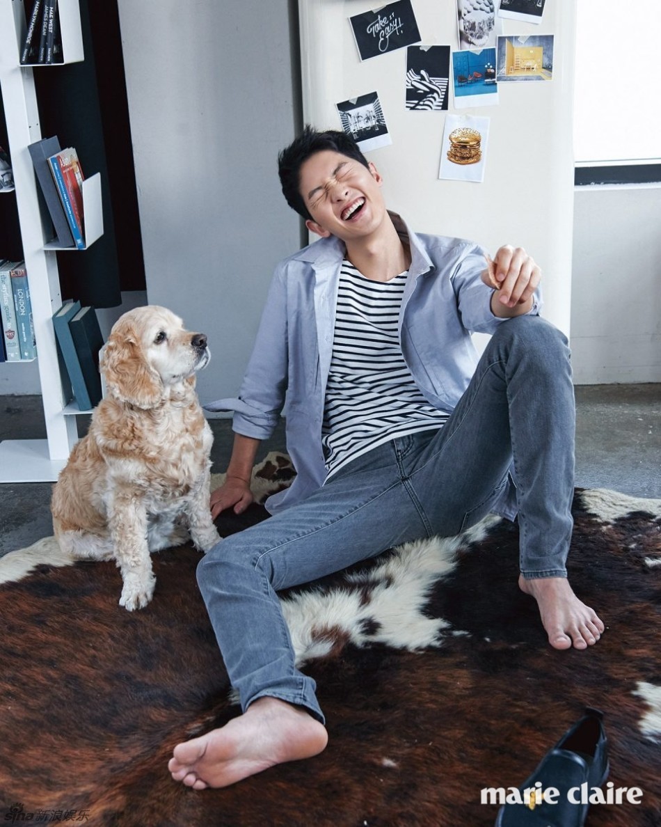 组图:宋仲基变身爱狗宅男 豪放坐地笑开怀_高清图集_新浪网
