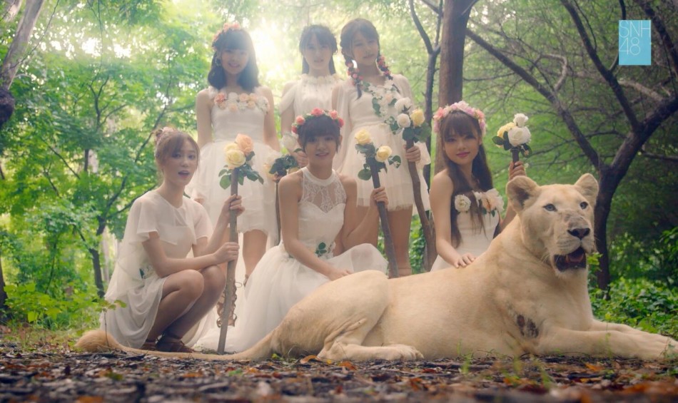 组图:snh48《梦想岛》mv泳装起舞 展青春活力_高清图集_新浪网