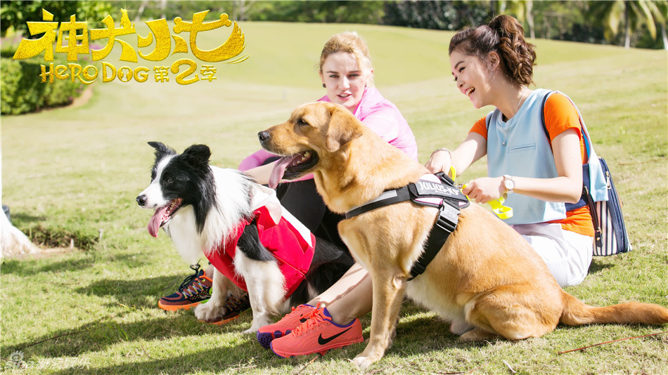 《神犬小七》海报