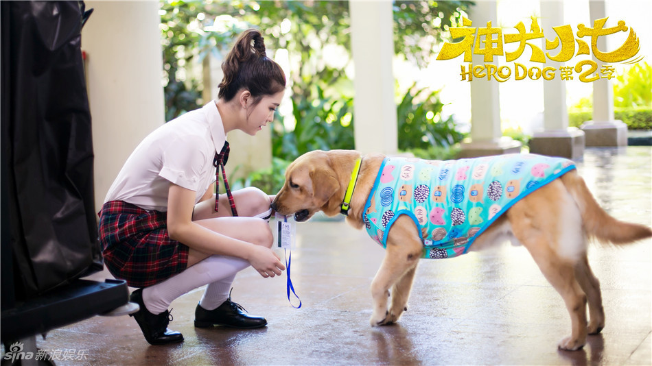 《神犬小七》海报