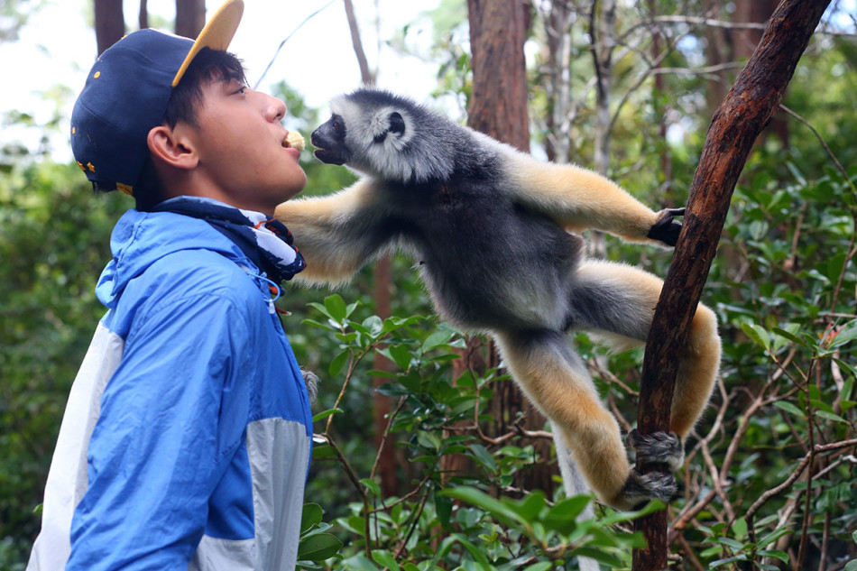 组图:《法则》黄子韬迷倒猴子 遭"壁咚"强吻_高清图集_新浪网