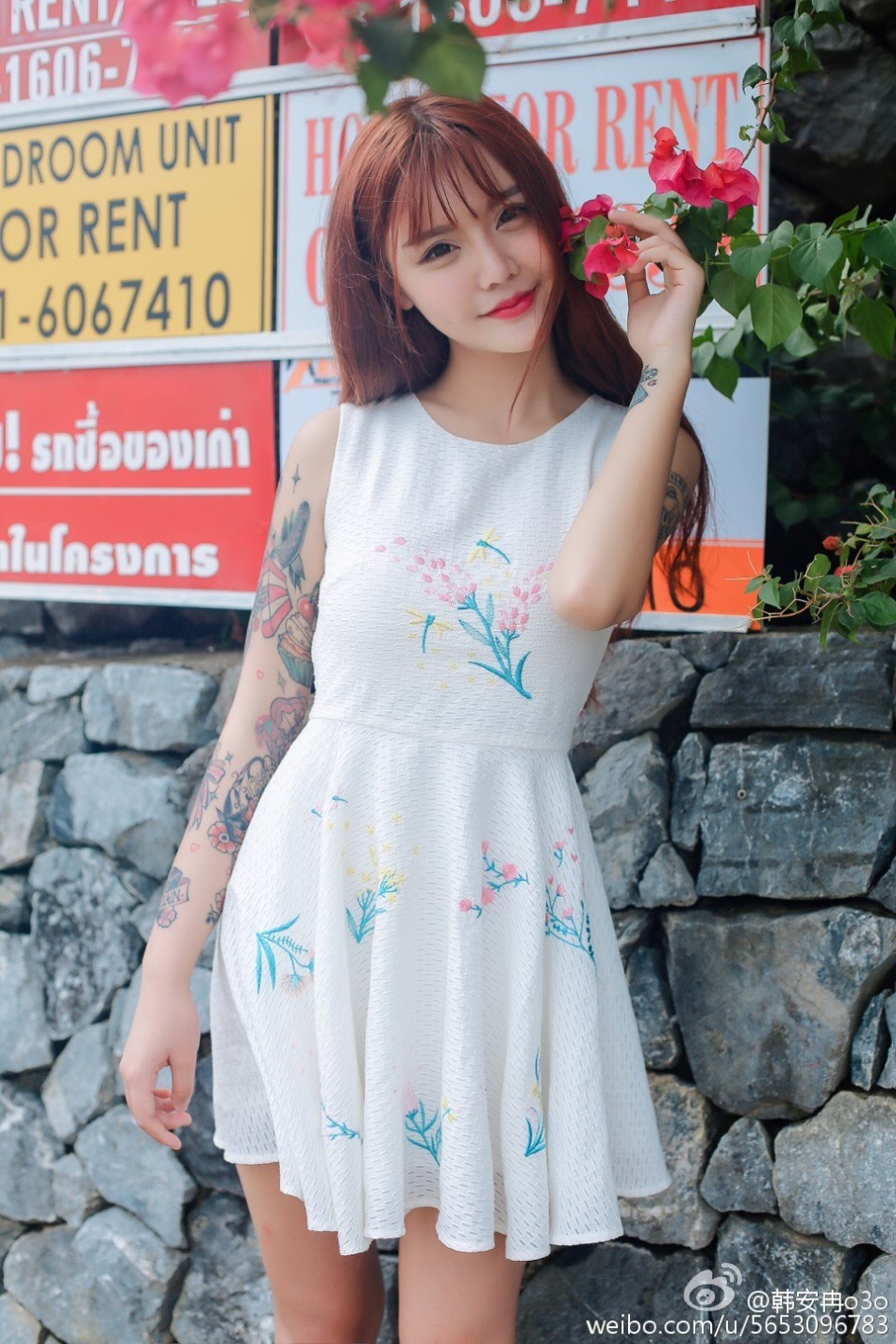 网红韩安冉q弹肉肉脸配大花臂_高清图集_新浪网