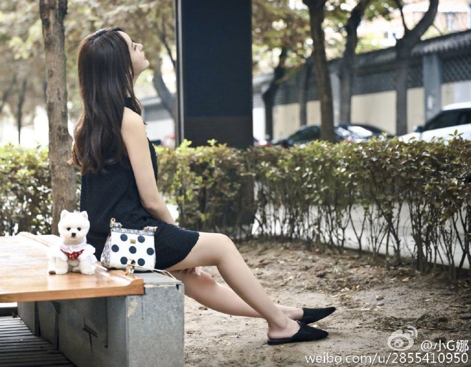 组图:小g娜小狗取名美丸 强颜欢笑显凄凉_高清图集_新浪网