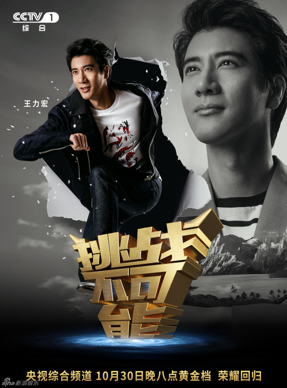 组图:《挑战不可能》海报 王力宏帅气董卿知性_高清图集_新浪网