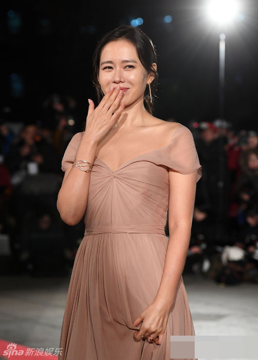 孙艺珍,河正宇,裴斗娜,李秉宪等两项红毯.