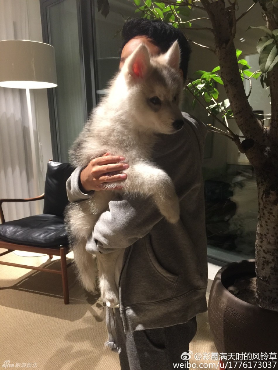 威廉弟弟长大啦!王中磊儿子抱狗 穿衬衫似总裁_高清图集_新浪网