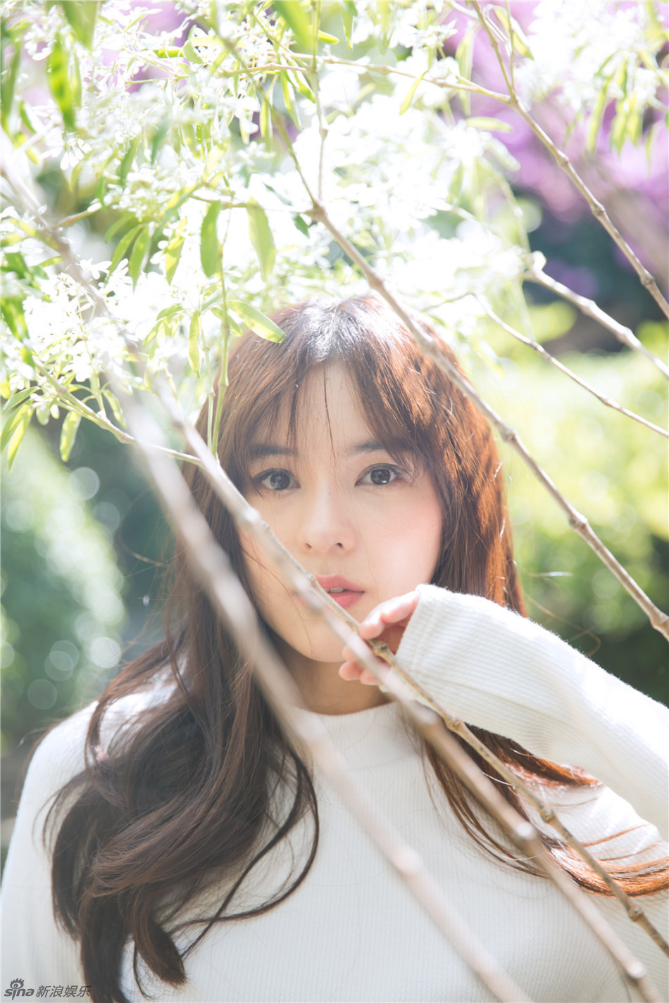 aom李海娜漫步花海