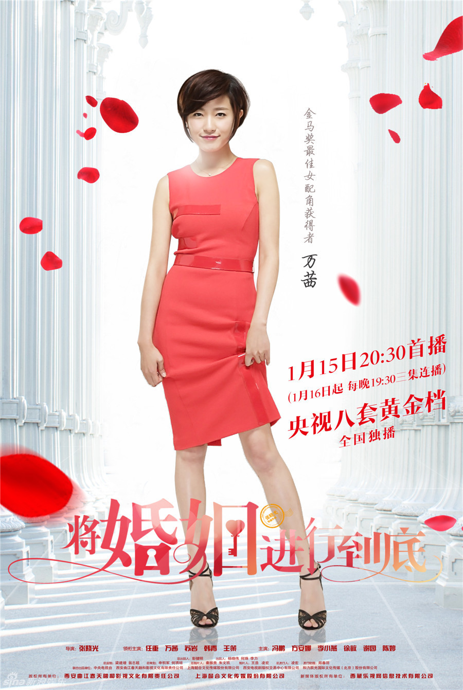 《将婚姻进行到底》苏岩海报