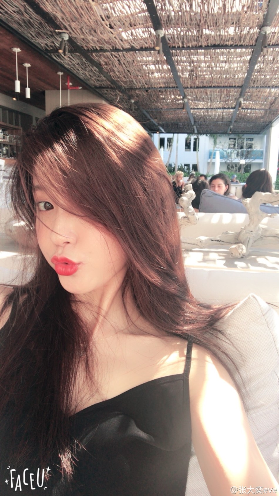 网红美女张大奕