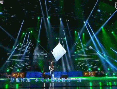 朴树