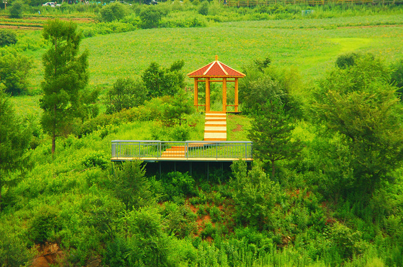 8 / 9 图们日光山花海景区位于中朝边境城市——图们市日光山森林公园