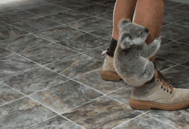 12星座最怕啥_高清图集_新浪网