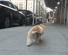 12星座脑子有洞!