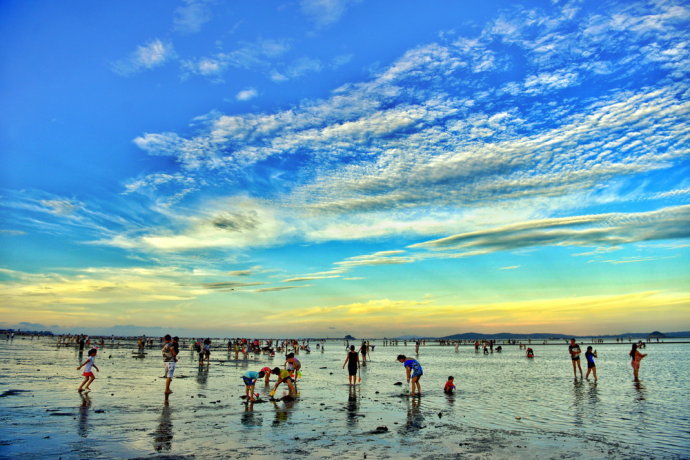 实拍:厦门海滩近万人"讨海"挖花蛤