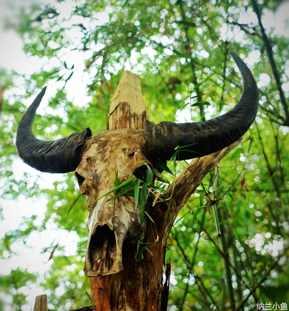 佤族古老神秘的"猎人头"