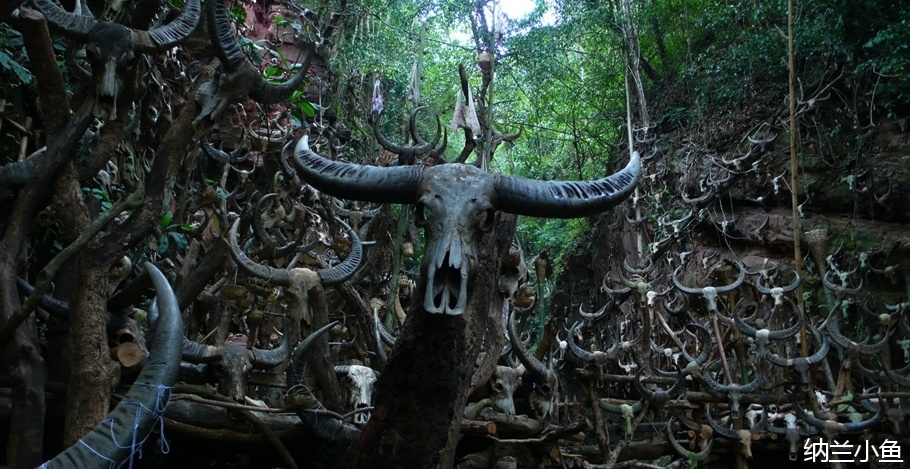 佤族古老神秘的"猎人头"