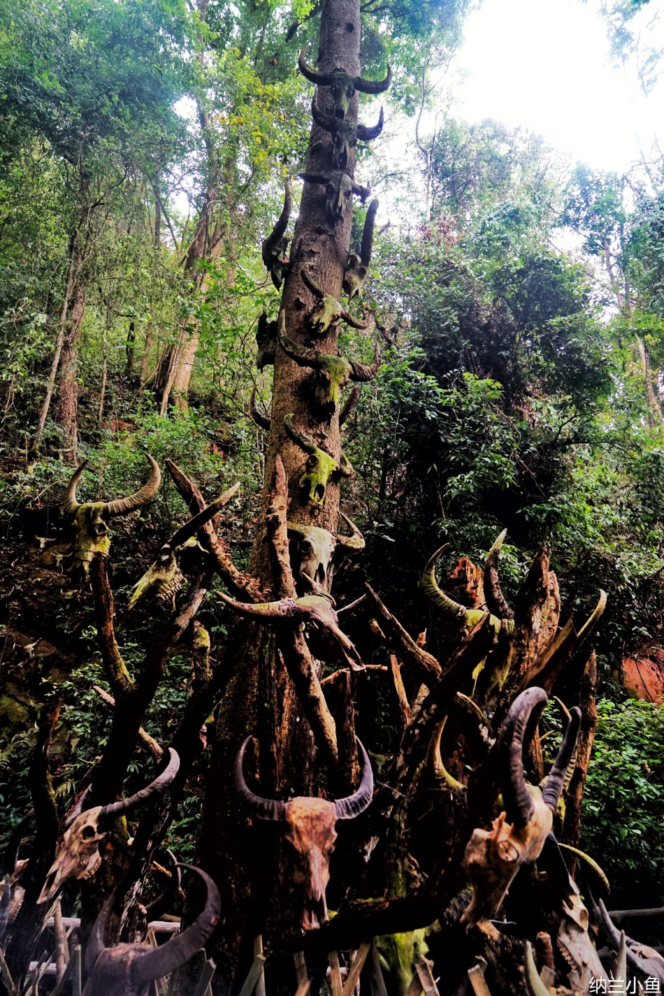 佤族古老神秘的"猎人头"