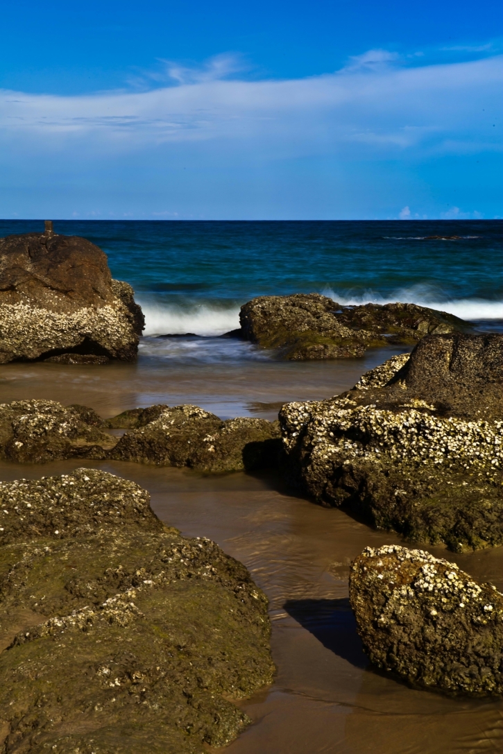 醉人的清水湾之美
