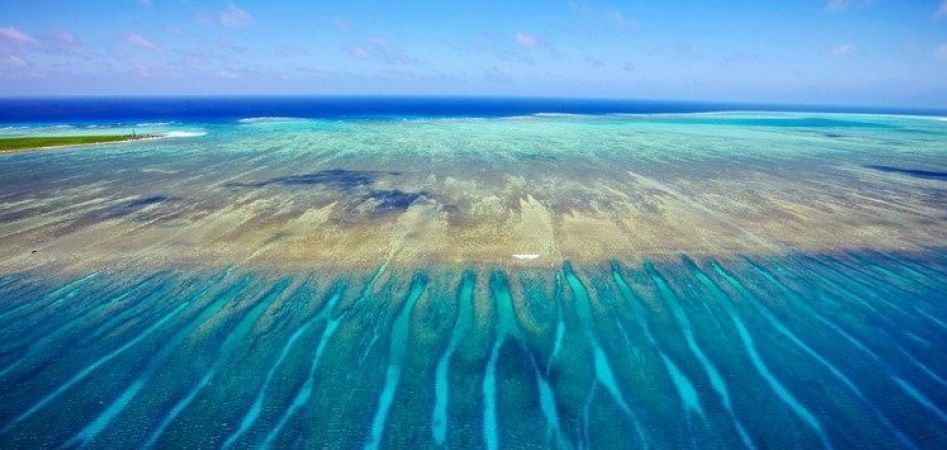 富饶的西沙群岛海水图片