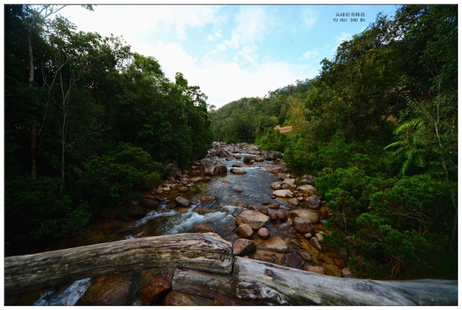 尖峰岭雨林谷风光
