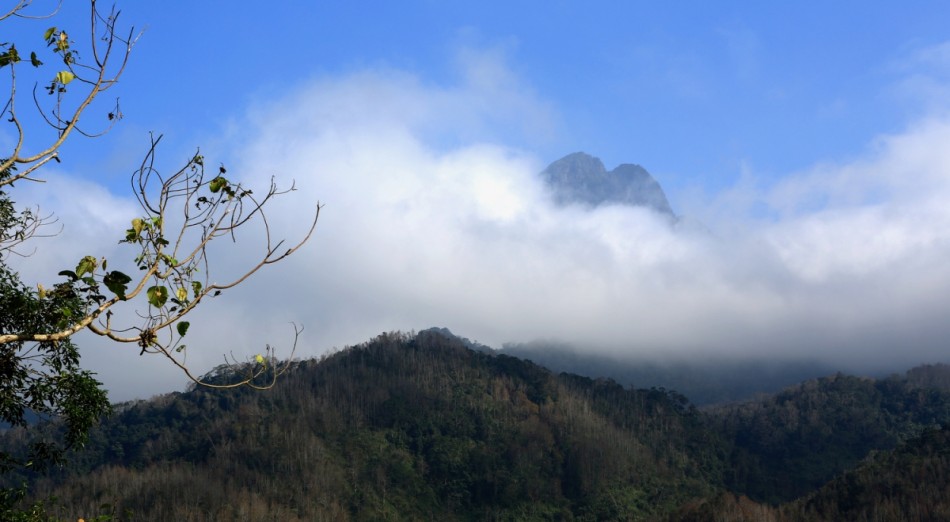 五指山下的醉人风光