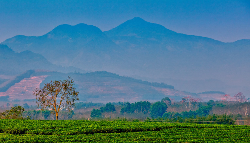 白沙妙龄美女峰