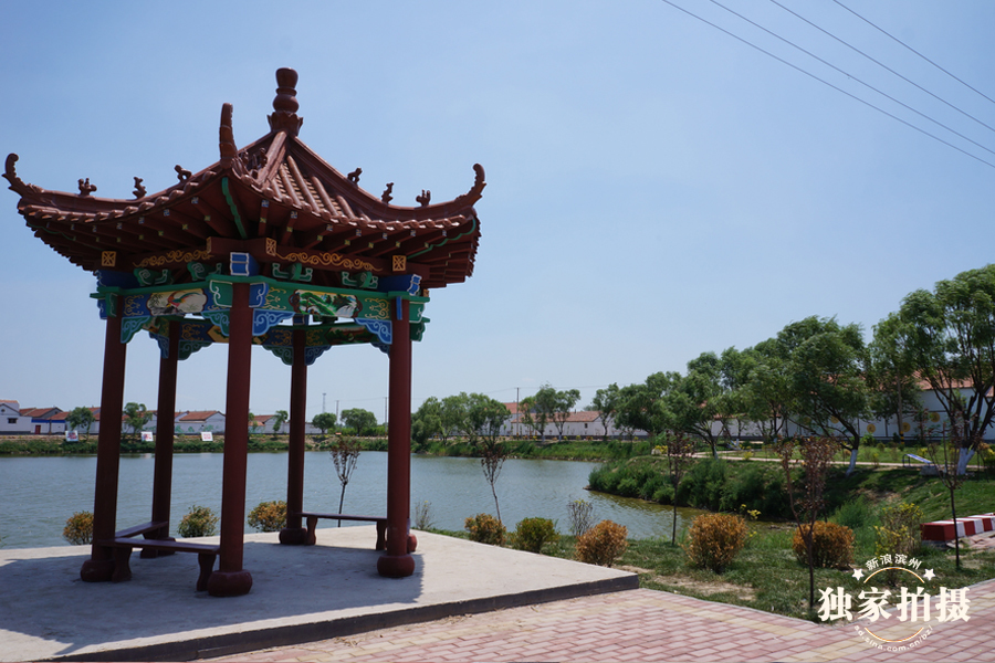 美丽乡村滨州行-沾化区下洼镇