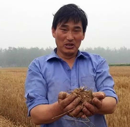 大衣哥朱之文下田种地 手捧黄土低调朴实