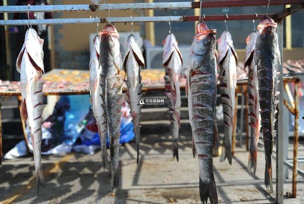 据说青岛的甜晒鱼有一百种 你吃过几种_高清图集_新浪网