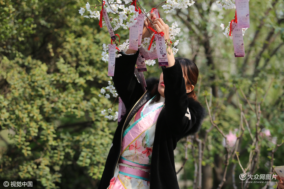 济南:市民樱花树下许愿心意浓