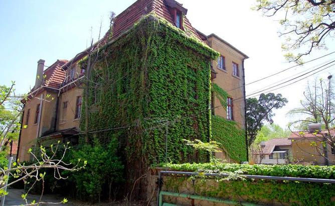 老房子藤萝缠绕似古堡 成老城街头一景
