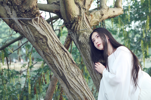 张辛苑最新古装写真公开 身着汉服演绎复古唯美_高清图集_新浪网