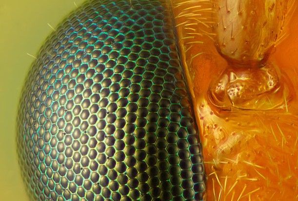 产业动态政策,职业联赛,ip到俱乐部的争夺,投资热,新媒体