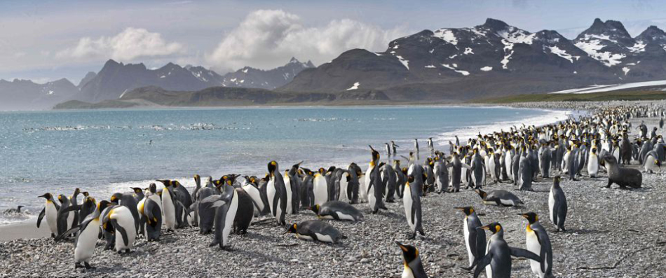 并不意味着美国会在地缘政治上收缩经济ke中国经济的新动能在哪儿?