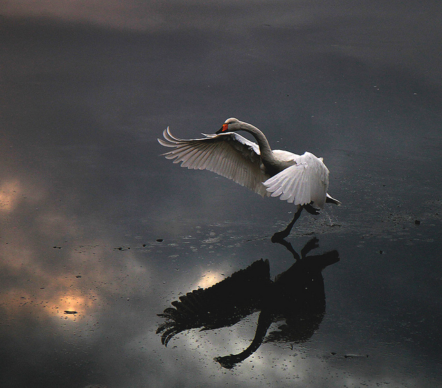 赛车时代;18:讲稿在这里美国传统政治遭猛烈冲击关东摄影网