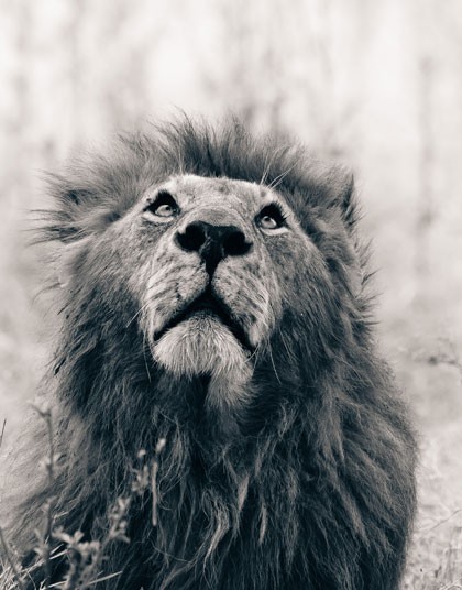 陈菊承诺:中国经济中长期增长受到三个威胁