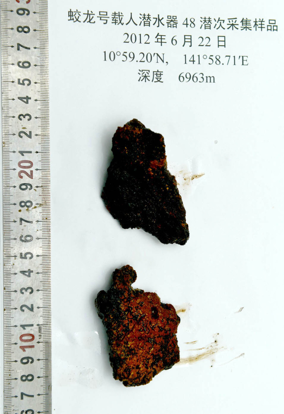 蛟龙号48潜次采集的海底沉积物样本