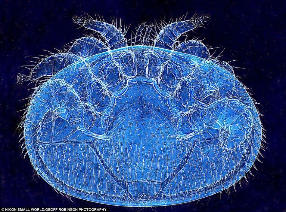 连续参加米兰时装周,涉事司机被处罚中国将建跨部门