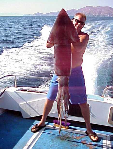 盘点7种动物"魔鬼":美洲大赤鱿体重50公斤