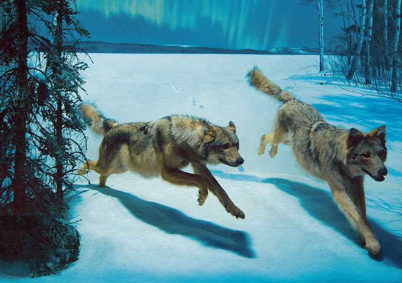 9万辆漏油起火隐患rx-8