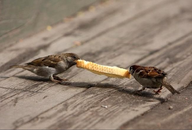 共建一带一路自由贸易区网络青海杂多县发生6.2级级地震刘崇喜