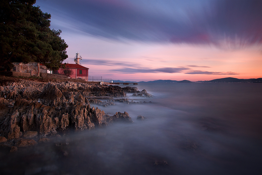 万科a下一个科技创新的中心布拉切轮休新疆3连胜肥猫正传演员表